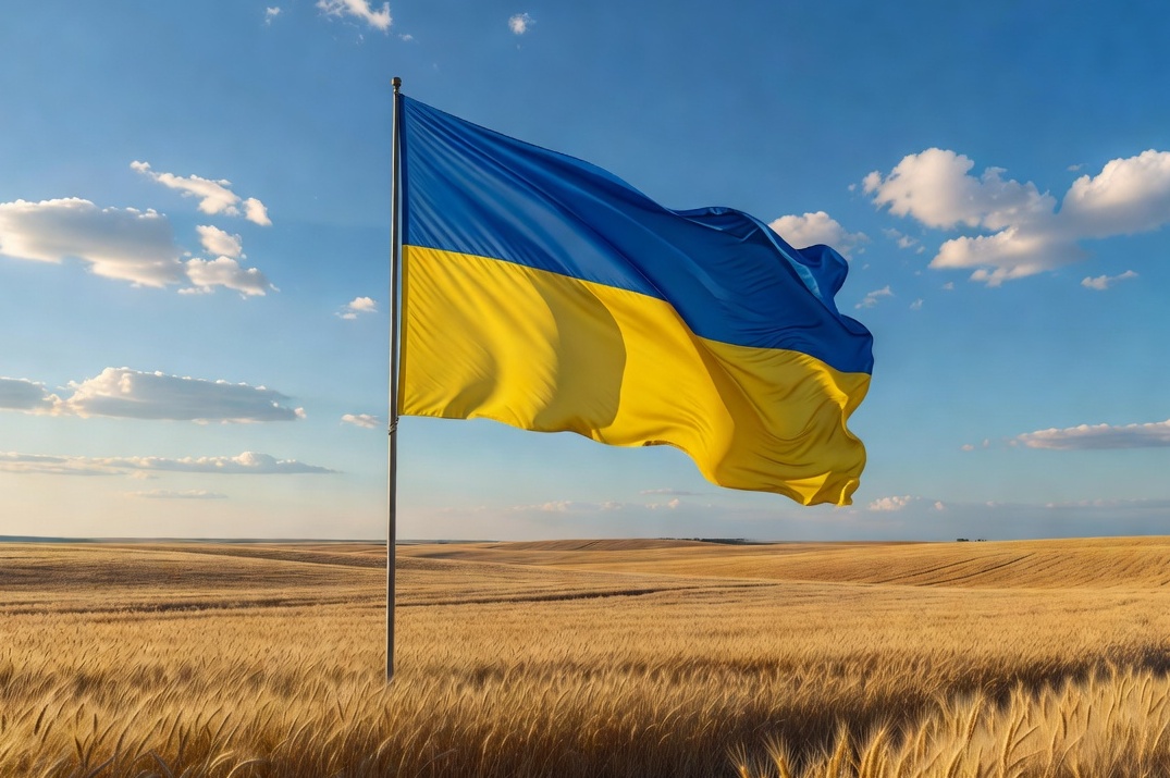  الحكومة الأيرلندية تعلن عن نيتها إنهاء العقود المتعلقة بإيواء اللاجئين الأوكرانيين 