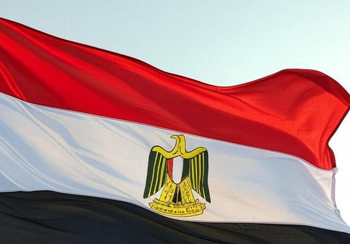 الرئيس السوري يثير غضب المصريين 