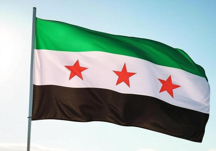 أحمد الشرع يستقبل وفدا كونغرسيا أمريكيا في زيارة رسمية إلى دمشق