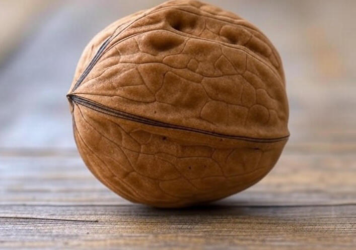 الجوز: سلاح طبيعي لمقاومة أمراض الشيخوخة والتدهور العقلي