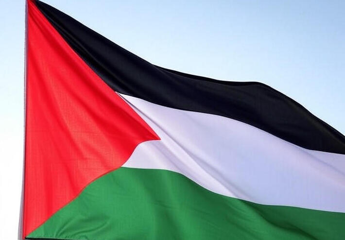 تحركات دبلوماسية: كانبرا وويلينغتون تتجهان للاعتراف بفلسطين 