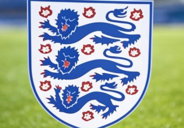 الاتحاد الانكليزي يتهم رسميا اللاعب التونسي هانيبال المجبري بعد حادثة البصق على جماهير ليدز يونايتد