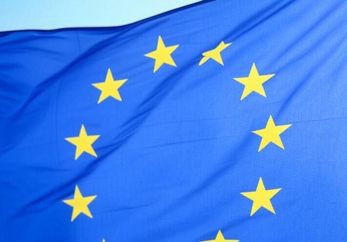 مصدر حكومي ألماني: الاتحاد الأوروبي لا يمتلك خطة بديلة للأصول الروسية المجمدة