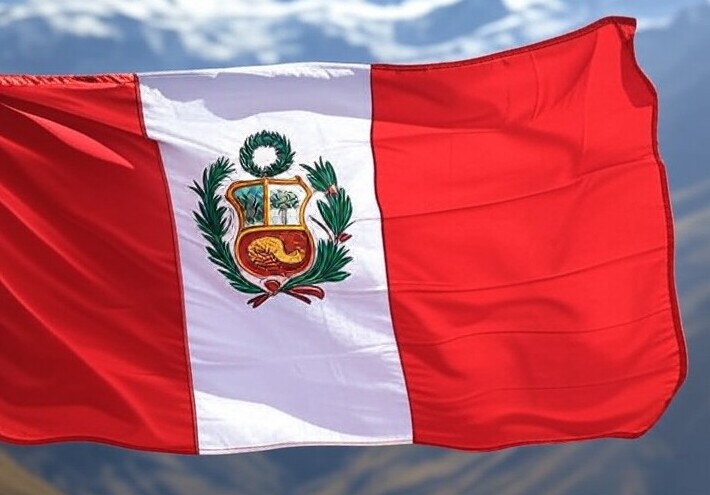  بيرو.. انتخاب خوسيه بالكازار رئيسا مؤقتا للبلاد 