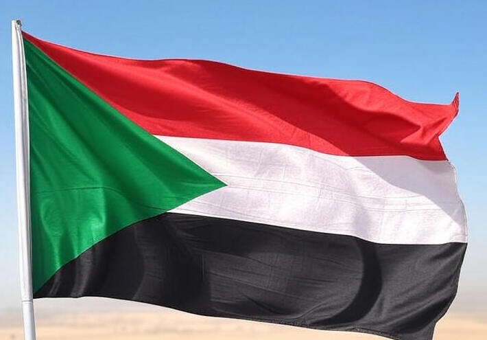 شبكة أطباء السودان تعلن عن قصف الدعم السريع مستشفى الفاشر وإسقاط 12 قتيلا 