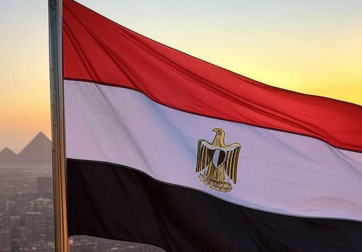 الحكومة المصرية تتصدى لاستحواذ إماراتي على إحدى أهم شركات البلاد الكبرى