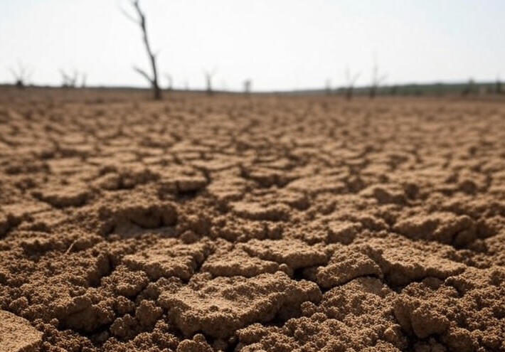  موجة جفاف تدفع دولا عربية لإقامة صلاة الاستسقاء